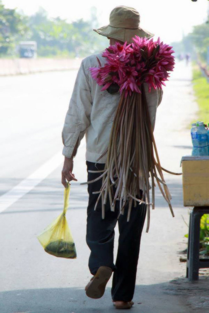 [-]Ngây[-]ngất[-]mùa[-]hoa[-]súng[-]miền[-]Tây